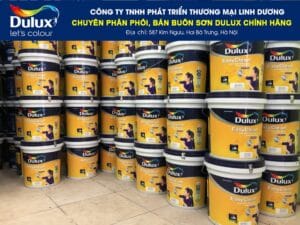 giới thiệu công ty phân phối sơn linh dương