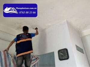 Sơn chống thấm trần nhà