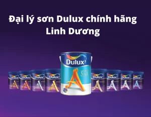đại lý sơn Dulux chính hãng