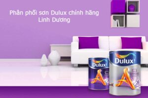 Công ty phân phối sơn Dulux