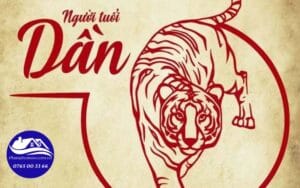 tuoi dan son nha mau gi 1